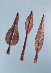 Spjutspetsar (järn)